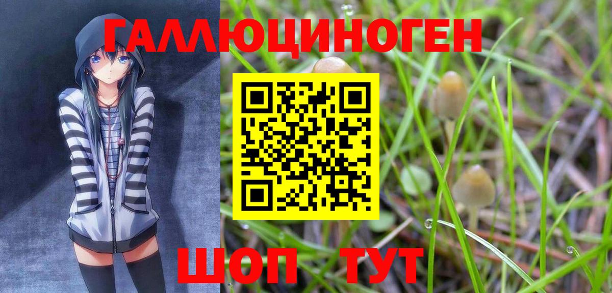 Галлюциногенные грибы Magic Shrooms  Вход с VPN  Алапаевск  Псилоцибиновые грибы GOLDEN TEACHER 